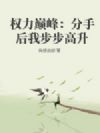 权力巅峰:分手后我步步高升