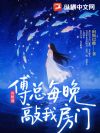 再相逢,傅总每晚敲我房门