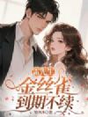 雷先生,金丝雀到期不续