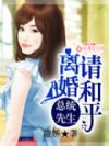 总统先生,请和平离婚